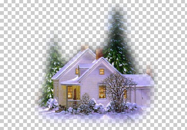 conifers clipart house