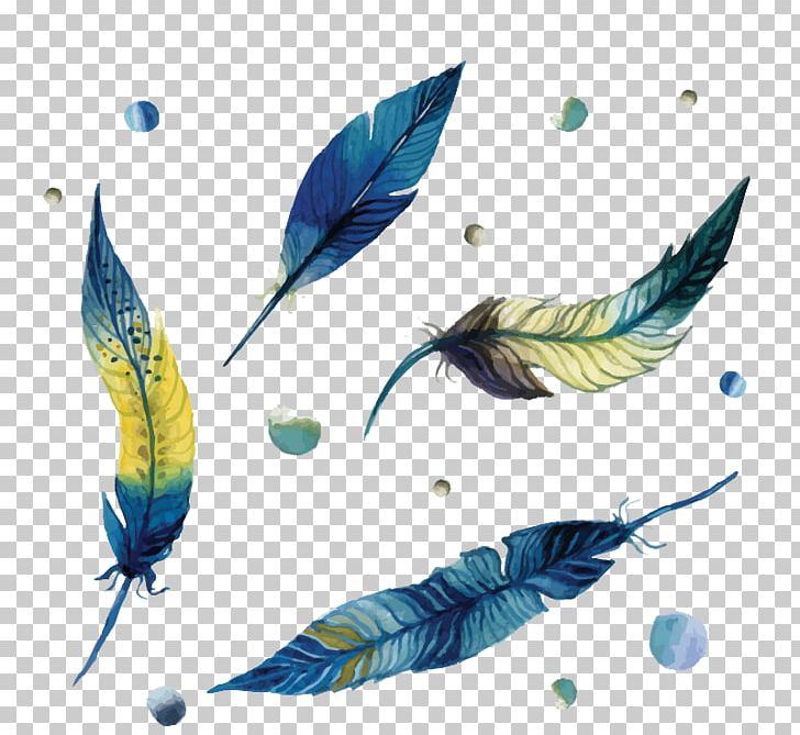 Feather Euclidean PNG, Clipart, Animals, Bird, Color, Download, Drawing Free PNG Download