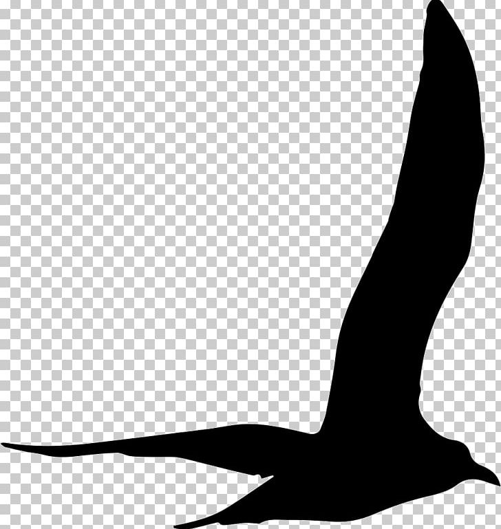 Gulls Silhouette PNG, Clipart, Animals, Beak, Bird, Black, Black And White Free PNG Download