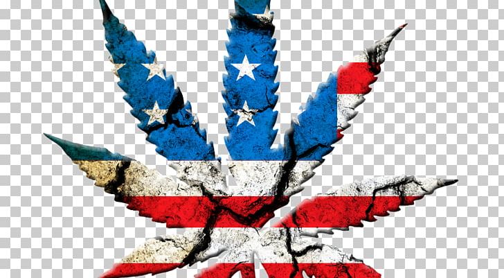 United States Of America Legality Of Cannabis Medical Cannabis Legalization PNG, Clipart, Cannabis, Cannabis Smoking, Drug, Effects Of Cannabis, Flag Free PNG Download