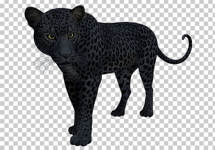 Black Panther Leopard Jaguar Cat T-shirt PNG, Clipart, 2018, Animal Figure, Big Cats, Black, Black Panther Free PNG Download