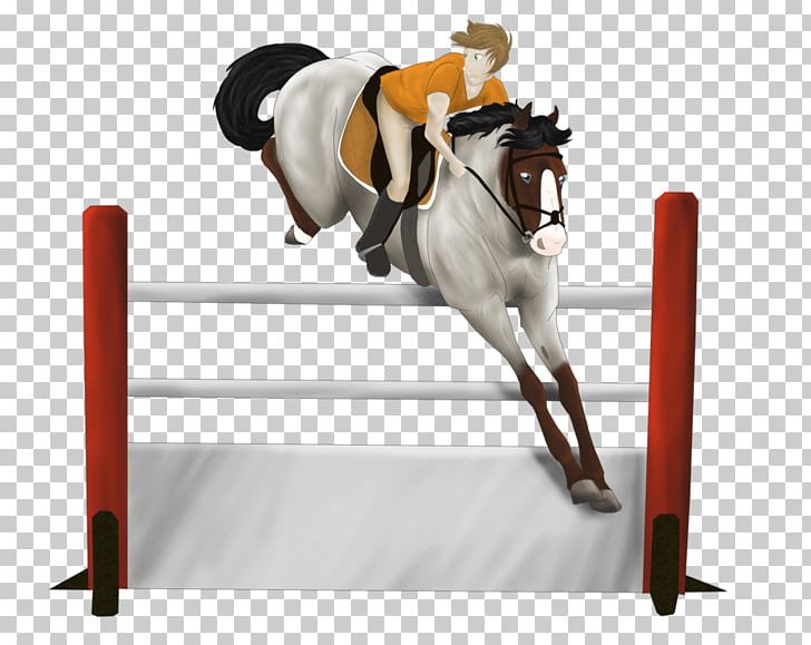 Show Jumping Hunt Seat Rein Stallion Equitation PNG, Clipart, Angle, Animal Sports, Bridle, English Riding, Equestrian Free PNG Download