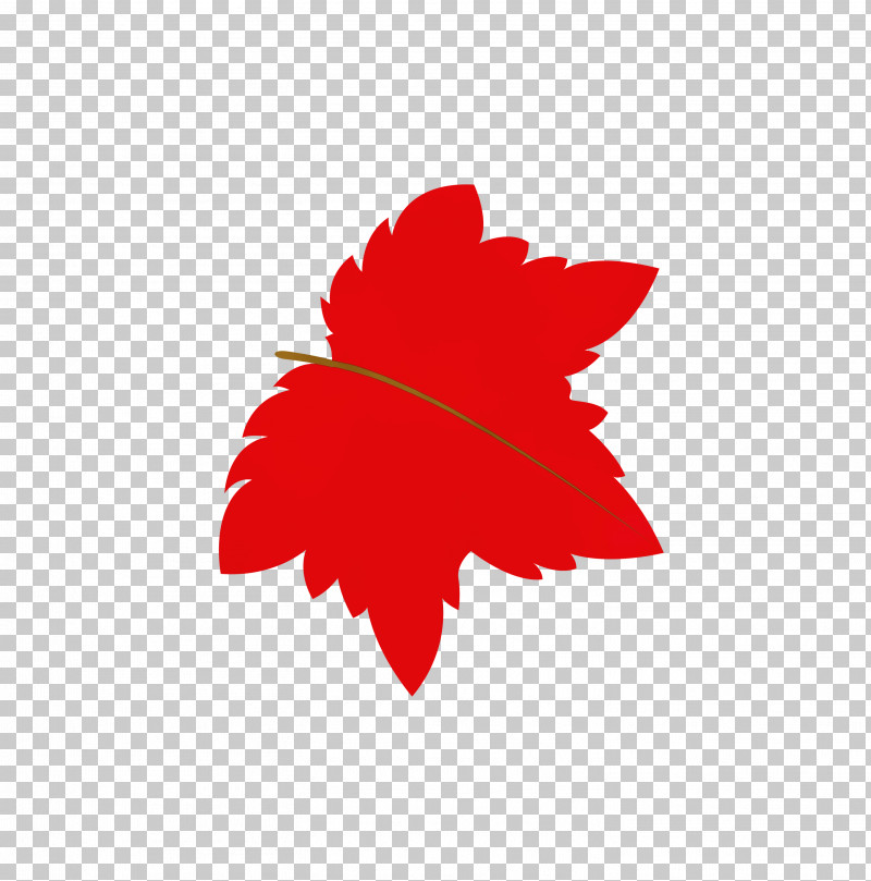 Maple Leaf PNG, Clipart, Autumn Leaf, Biology, Cartoon Leaf, Fall Leaf, Leaf Free PNG Download