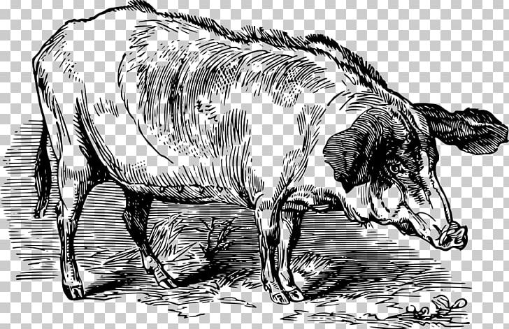 Dairy Cattle Large White Pig Pig Farming PNG, Clipart, Black And White, Bull, Cattle Like Mammal, Cow Goat Family, Dairy Cattle Free PNG Download