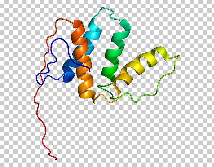 Gene Enoyl CoA Isomerase Enzyme Wikipedia ACOX1 PNG, Clipart, Acylcoa, Area, Dna, Enzyme, Gene Free PNG Download