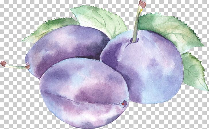 Watercolor Painting Drawing PNG, Clipart, Apple, Art, Blueberries, Blueberry, Color Free PNG Download