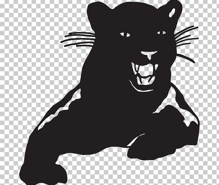 Whiskers Dog Cat Snout PNG, Clipart, Animals, Bear, Big Cats, Black, Black And White Free PNG Download