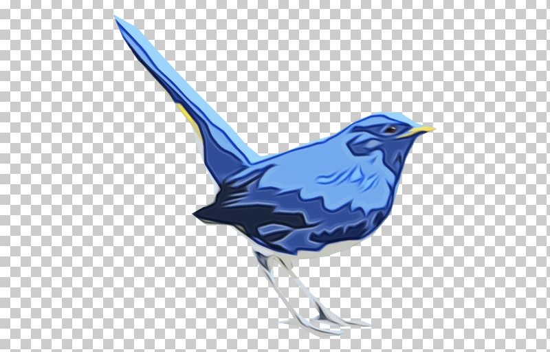 Feather PNG, Clipart, Beak, Blue Jay, Cobalt, Cobalt Blue, Feather Free PNG Download