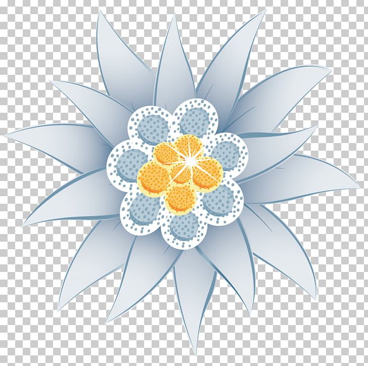 Edelweiss Flower Euclidean Illustration PNG, Clipart, Computer Wallpaper, Decoration, Drawing, Flora, Flow Free PNG Download