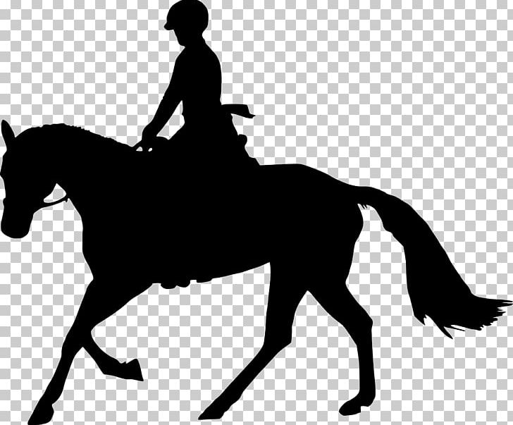 Horse Equestrian Silhouette PNG, Clipart, Animals, Black, Black And White, Bridle, Canter And Gallop Free PNG Download