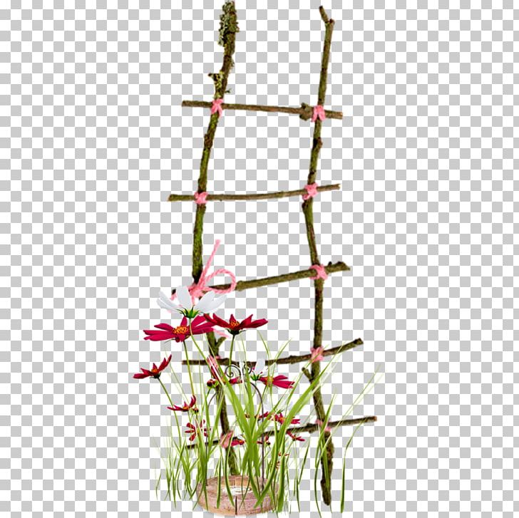 Ladder Stairs PNG, Clipart, Albom, Branch, Download, Encapsulated Postscript, Flora Free PNG Download