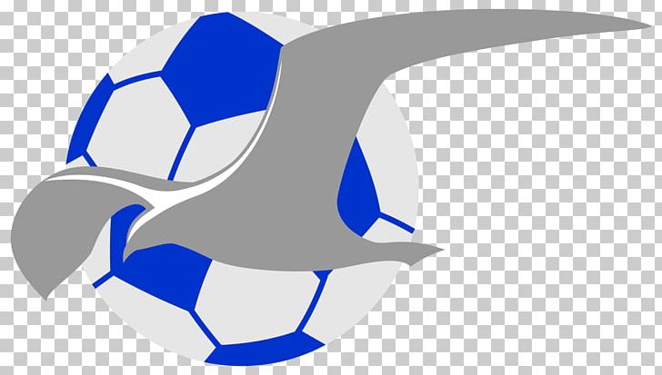 FK Haugesund Sandefjord Fotball 2017 Eliteserien Coleraine F.C. PNG, Clipart, Ball, Coleraine Fc, Computer Wallpaper, Eliteserien, Fish Free PNG Download