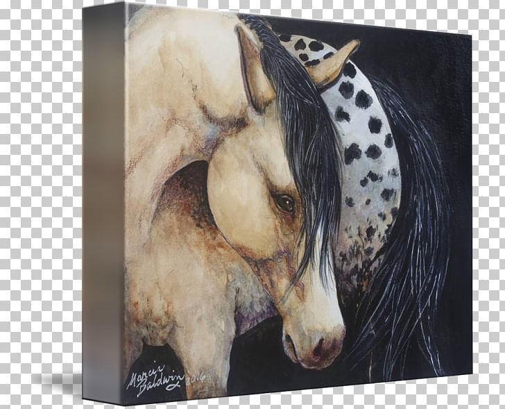 Appaloosa Mustang Stallion Watercolor Painting PNG, Clipart, Animal, Appaloosa, Art, Canvas, Fauna Free PNG Download