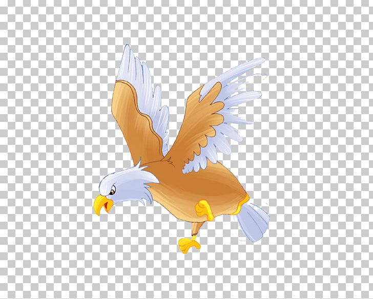 Bald Eagle Bird Hawk PNG, Clipart, Animals, Animation, Bald Eagle, Beak, Bird Free PNG Download