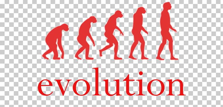 Human Evolution Homo Sapiens Peking Man Evolutionary Art PNG, Clipart, Area, Australopithecus Africanus, Brand, Charles Darwin, Decal Free PNG Download