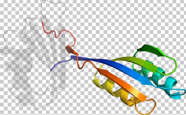 Line PNG, Clipart, Acetolactate Synthase, Art, Line Free PNG Download