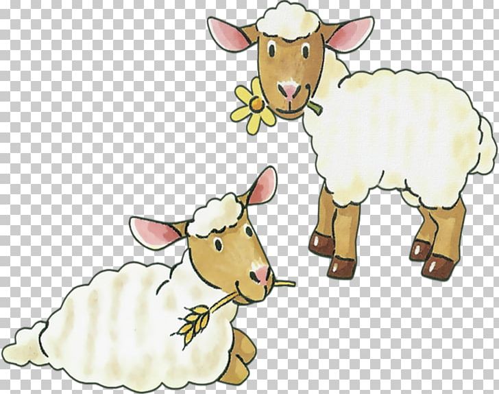 Sheep–goat Hybrid Sheep–goat Hybrid Cattle PNG, Clipart, Animal Figure, Animals, Bovid, Caprinae, Cartoon Free PNG Download