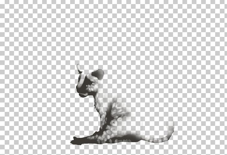 Whiskers Balinese Cat Kitten Dog Drawing PNG, Clipart, Animals, Balinese, Balinese Cat, Black And White, Canidae Free PNG Download
