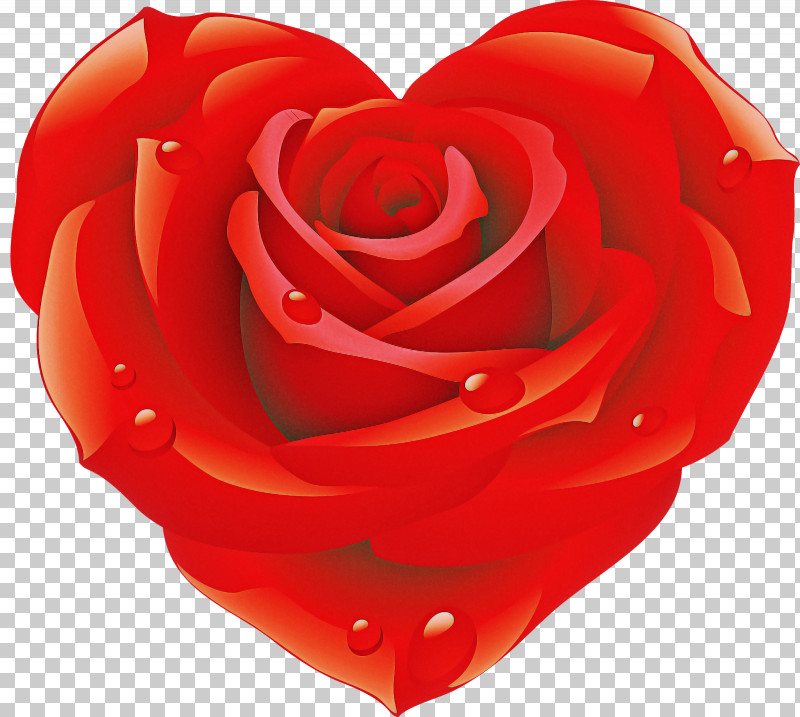 Garden Roses PNG, Clipart, Floribunda, Flower, Garden Roses, Heart, Hybrid Tea Rose Free PNG Download