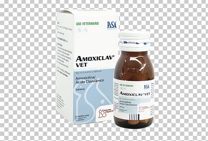 Amoxicillin/clavulanic Acid Veterinary Medicine Penicillin PNG, Clipart, Ambroxol, Amoxicillin, Amoxicillinclavulanic Acid, Ampicillin, Cefotaxime Free PNG Download