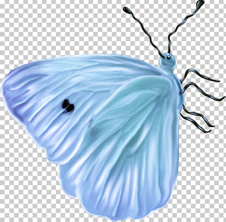 Insect Butterfly Blue Bee PNG, Clipart, Animals, Bee, Blue, Butterflies And Moths, Butterfly Free PNG Download