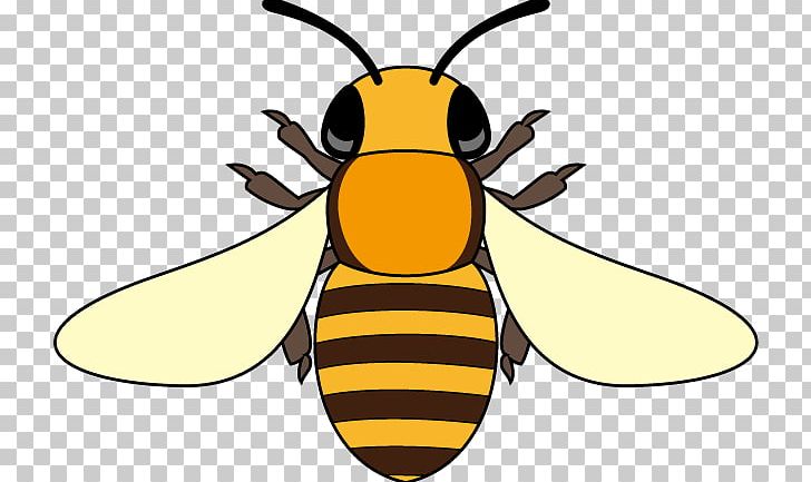 Honey Bee Hornet Insect PNG, Clipart, Arthropod, Artwork, Bee, Cartoon, Download Free PNG Download