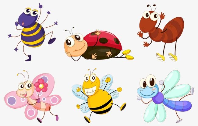 Insects PNG, Clipart, Animal, Cartoon, Creative, Creative Design, Design Free PNG Download