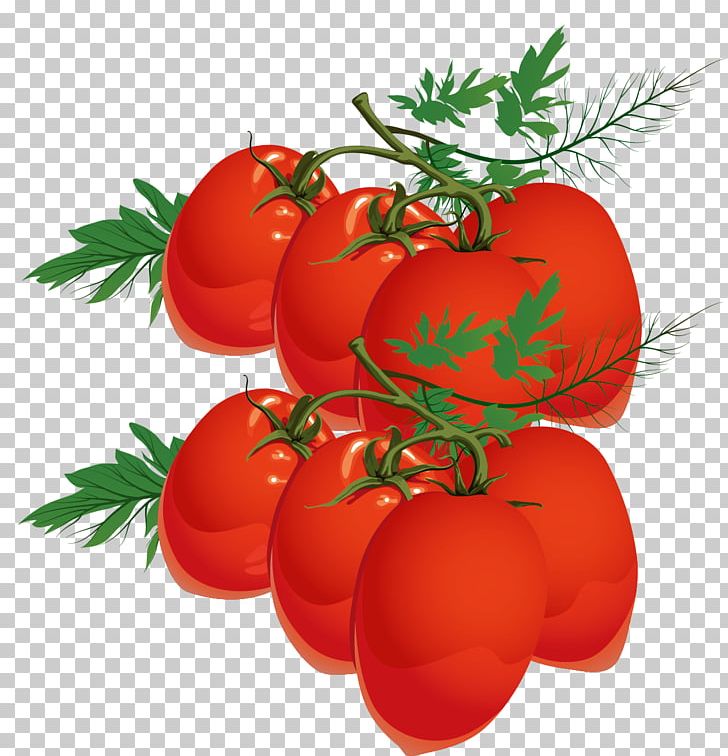 Tomato Juice Plum Tomato Cherry Tomato Bush Tomato PNG, Clipart, Apple, Food, Fruit, Fruit Nut, Happy Birthday Vector Images Free PNG Download