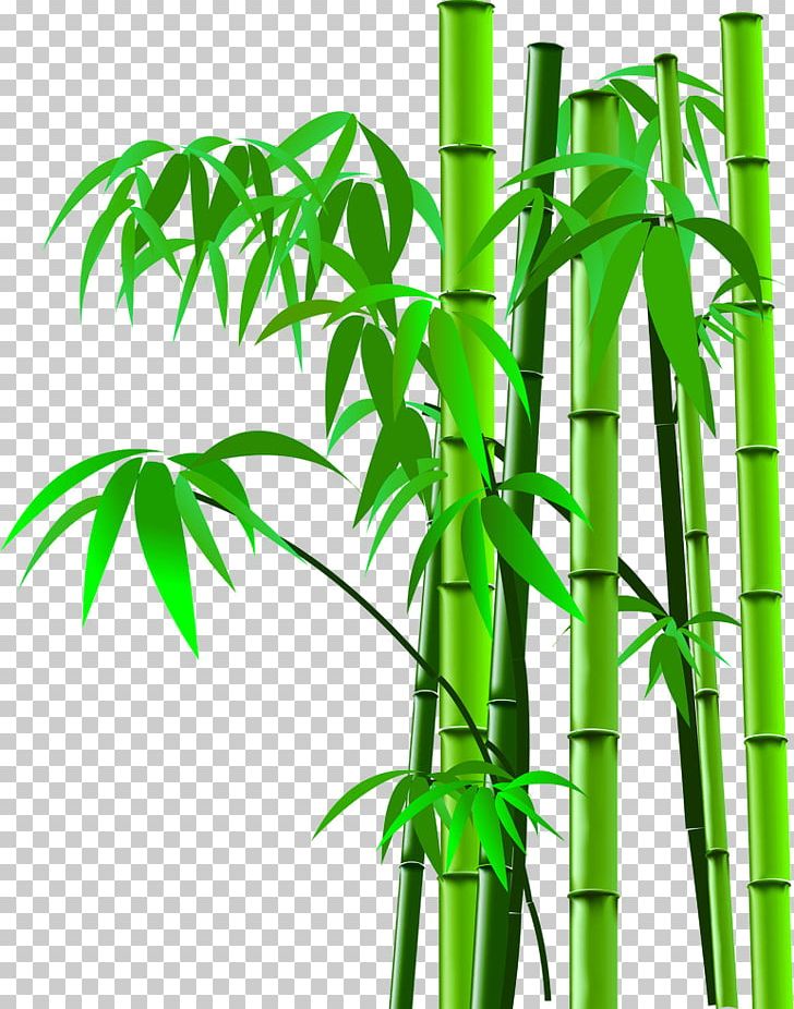 Bamboo Scanner PNG, Clipart, Adobe Illustrator, Balloon Cartoon, Bamboo Leaves, Cartoon Character, Cartoon Eyes Free PNG Download