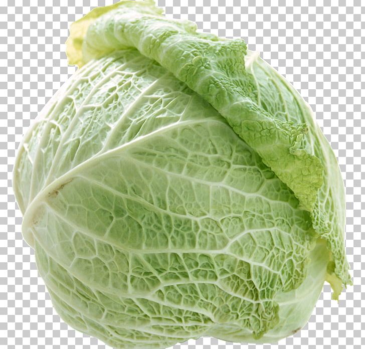 Cabbage Stuffing Vegetable Food Chinese Broccoli PNG, Clipart, Brassica, Brassica Oleracea, Cabbage, Cabbage Family, Cauliflower Free PNG Download