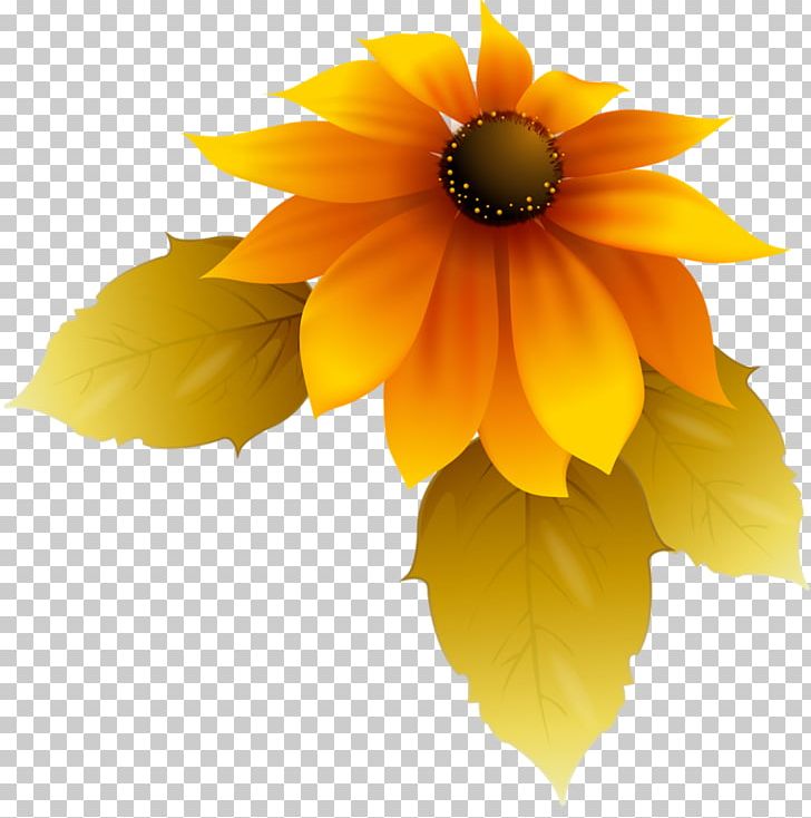 Common Sunflower Animaatio Blanket Flowers PNG, Clipart, Animaatio, Blanket Flowers, Cartoon, Common Sunflower, Daisy Family Free PNG Download