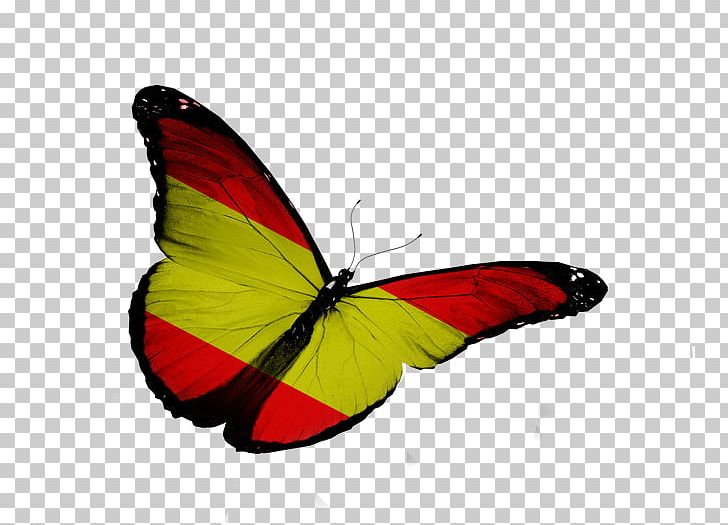Flag Of Spain PNG, Clipart, Brush Footed Butterfly, Butterfly, Drawing, Flag, Flag Of Colombia Free PNG Download