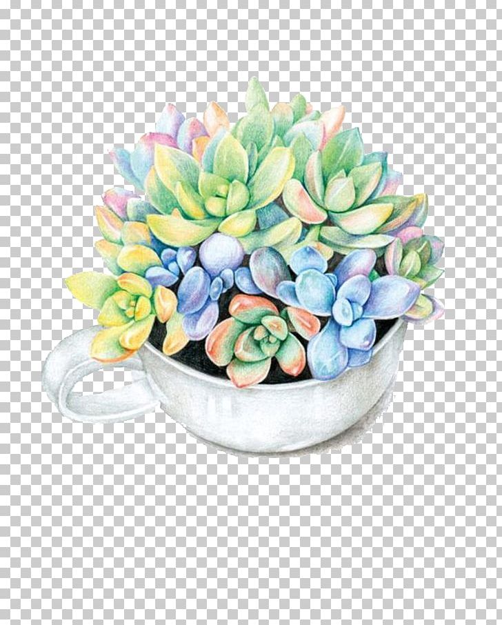 Paper Colored Pencil Succulent Plant Watercolor Painting Drawing PNG, Clipart, Bouquet Of Flowers, Bouquet Of Roses, Bridal Bouquet, Color, Flower Free PNG Download