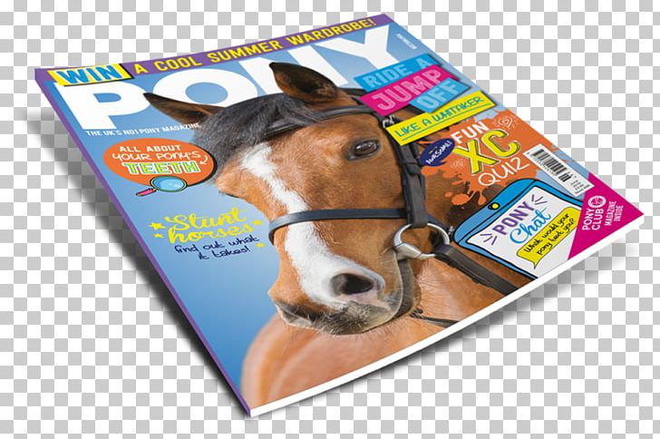 PONY Magazine Horse DJ Murphy Publishers Ltd PNG, Clipart, Advertising, Animals, Appearin Co Telenor Digital As, Brand, Equestrian Free PNG Download