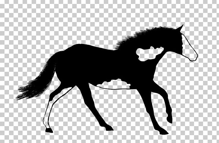 American Paint Horse Mustang Stallion Foal Mare PNG, Clipart, English Riding, Fictional Character, Foal, Halter, Horse Free PNG Download