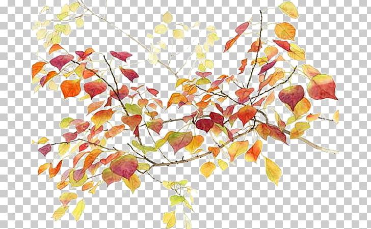 Autumn Icon PNG, Clipart, Autumn Leaves, Branch, Branches, Chemical Element, Decorative Elements Free PNG Download