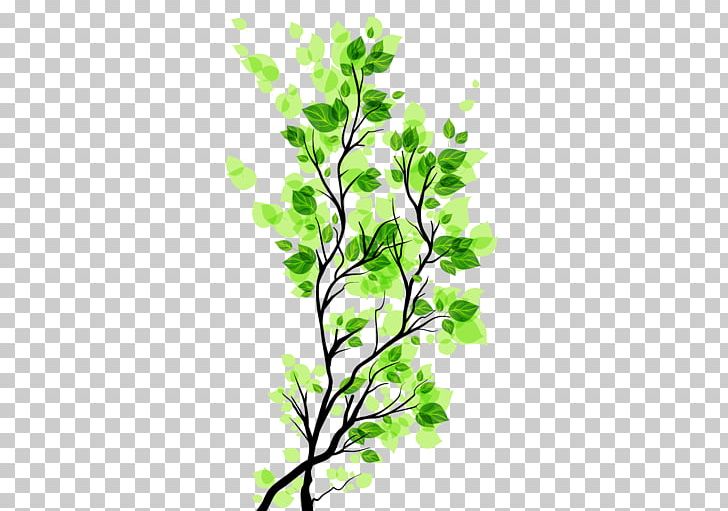 Branch Leaf PNG, Clipart, Branches, Creative, Creative Branches, Creativity, Designer Free PNG Download