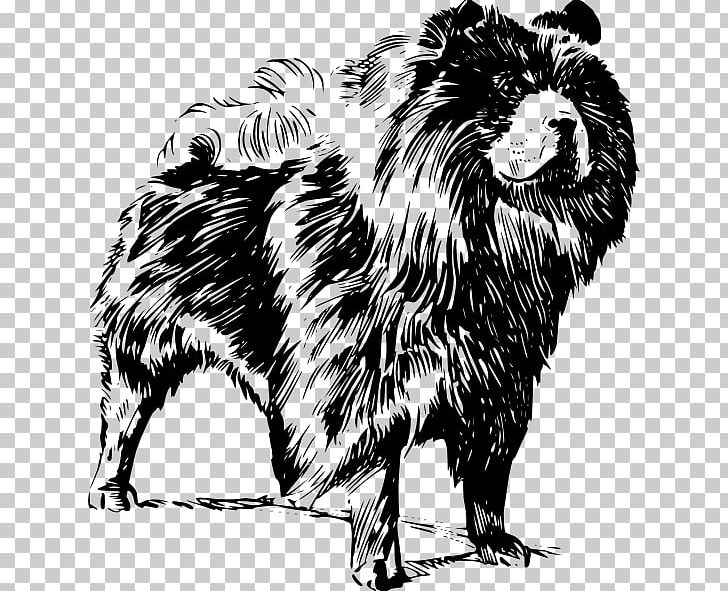 Chow Chow Puppy Golden Retriever Dog Breed PNG, Clipart, Animals, Big Cats, Black And White, Breed, Canidae Free PNG Download