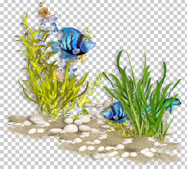 Scuba Diving Underwater Diving PNG, Clipart, Aquarium Decor, Aquatic Plant, Diving Swimming Fins, Fish, Flower Free PNG Download