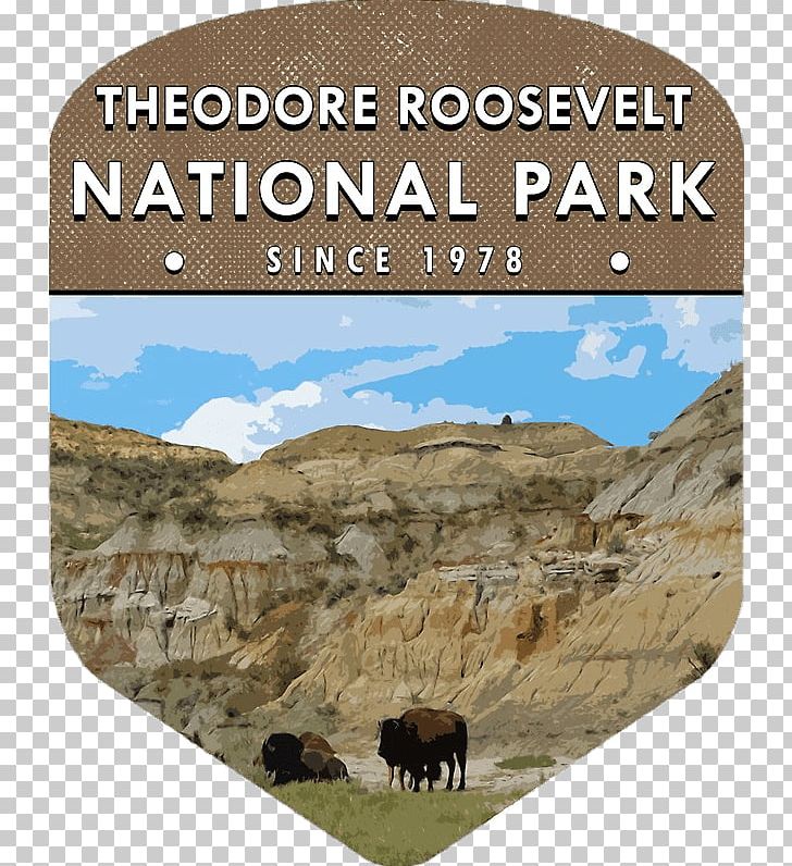 Theodore Roosevelt National Park Petrified Forest National Park North Cascades National Park Mammoth Cave National Park Badlands PNG, Clipart, Cattle Like Mammal, Channel Islands National Park, Ecosystem, Fauna, Geology Free PNG Download