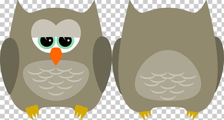 Barn Owl Bird Of Prey PNG, Clipart, Animal, Animals, Barn Owl, Beak, Bird Free PNG Download