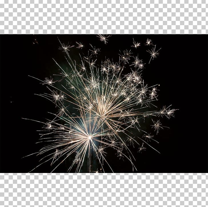 Fireworks Sparkler Desktop Stock Photography PNG, Clipart, Computer, Computer Wallpaper, Desktop Wallpaper, Event, Fete Free PNG Download