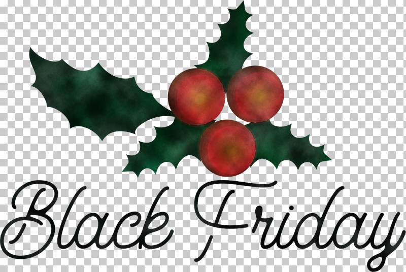 Black Friday Shopping PNG, Clipart, Aquifoliaceae, Aquifoliales, Black Friday, Christmas Day, Christmas Ornament Free PNG Download