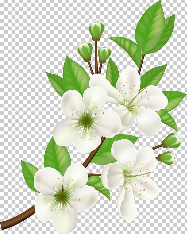 Computer Icons Flower PNG, Clipart, Branch, Desktop Wallpaper, Encapsulated Postscript, Flower Arranging, Flowers Free PNG Download