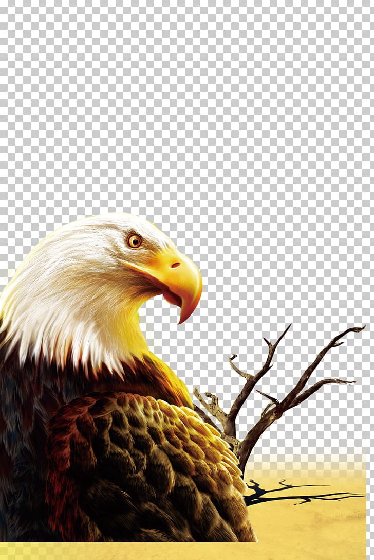 IPhone 6S Zouping County Defence Day Light PNG, Clipart, Accipitriformes, Android Application Package, Animals, Bald Eagle, Beak Free PNG Download
