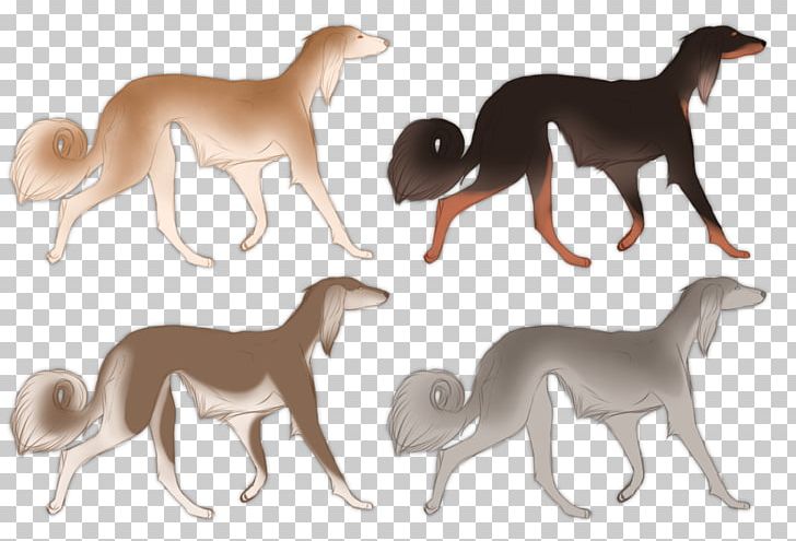 Italian Greyhound Whippet Sloughi Saluki Dog Breed PNG, Clipart, 08626, Animal, Animal Figure, Breed, Carnivoran Free PNG Download