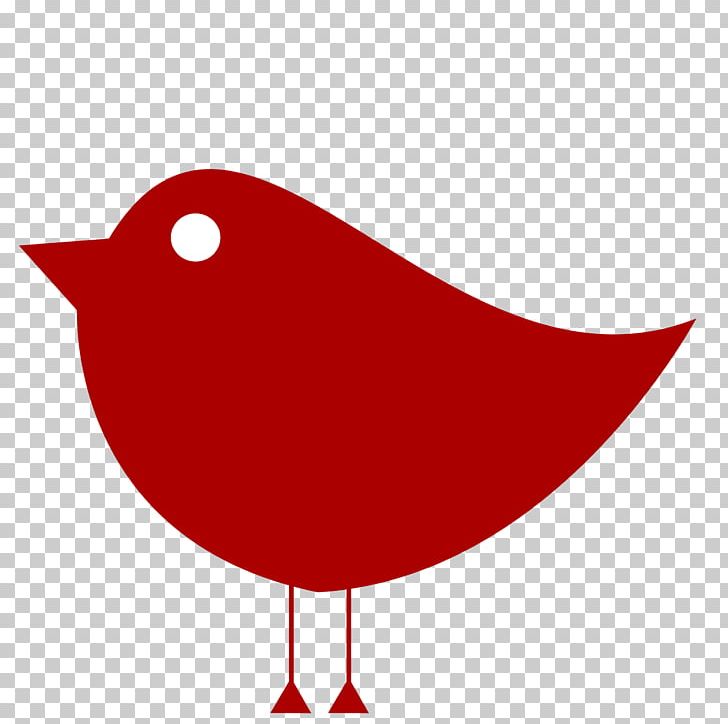 Drawing Bird Color PNG, Clipart, Animals, Art, Artwork, Beak, Bird Free PNG Download