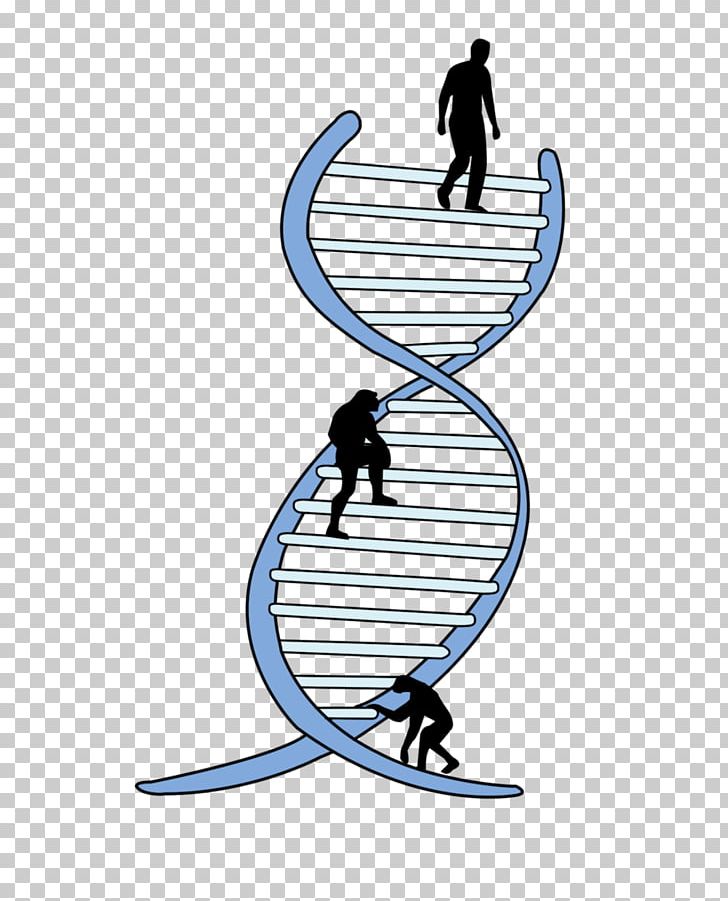 Genetics La Ingenieria Genetica Genetic Engineering Biology PNG, Clipart, Adn, Area, Biocomplexity, Biotechnology, Dna Free PNG Download
