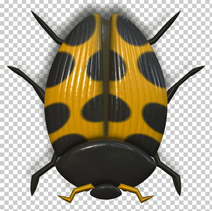 Beetle Animal PNG, Clipart, Animal, Animals, Animation, Arthropod, Bee Free PNG Download