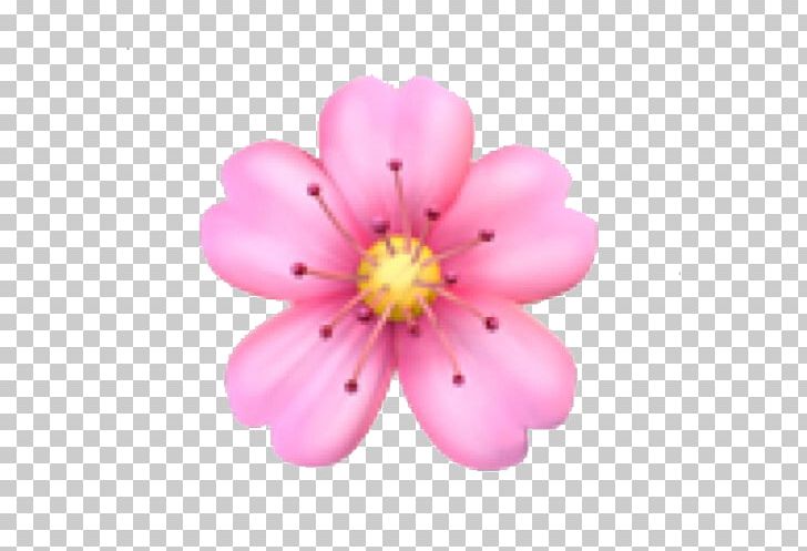 Emoji Domain Flower PNG, Clipart, Blossom, Cherry Blossom, Computer Icons, Emoji, Emoji Domain Free PNG Download